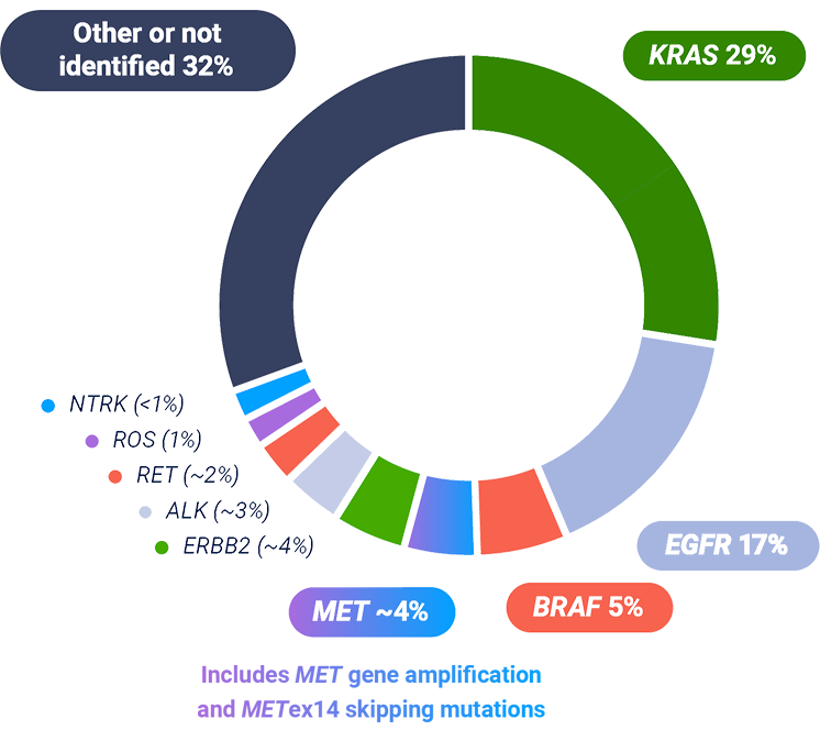 Oncogenic mutations in NSCLC graphic