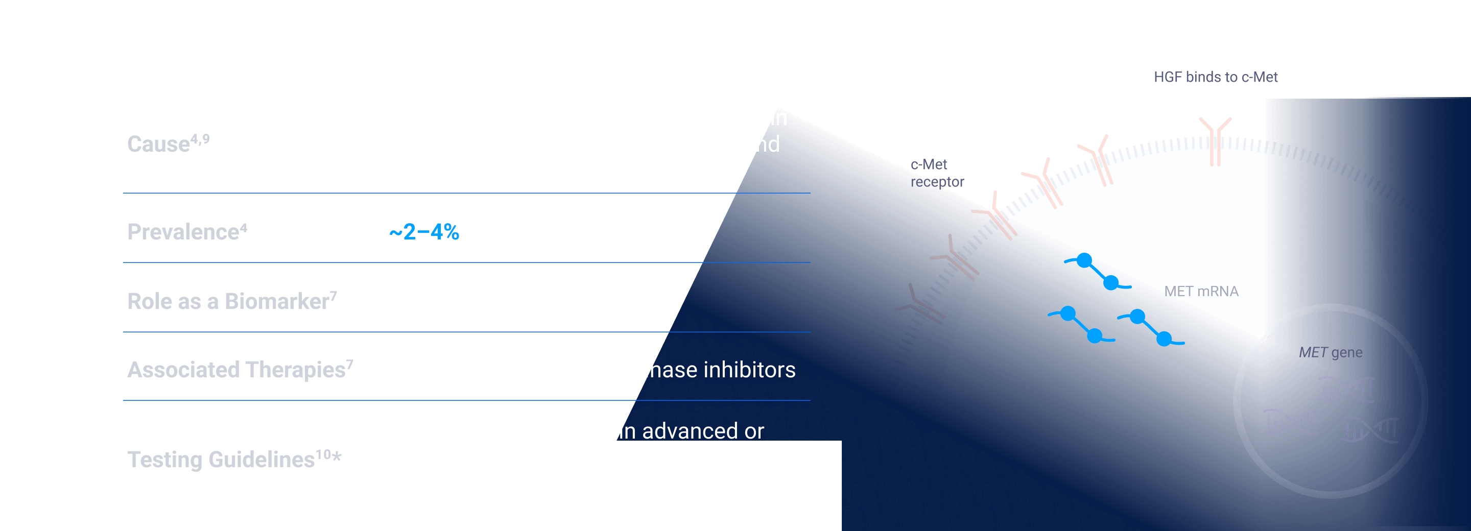 METex14 Skipping Mutations